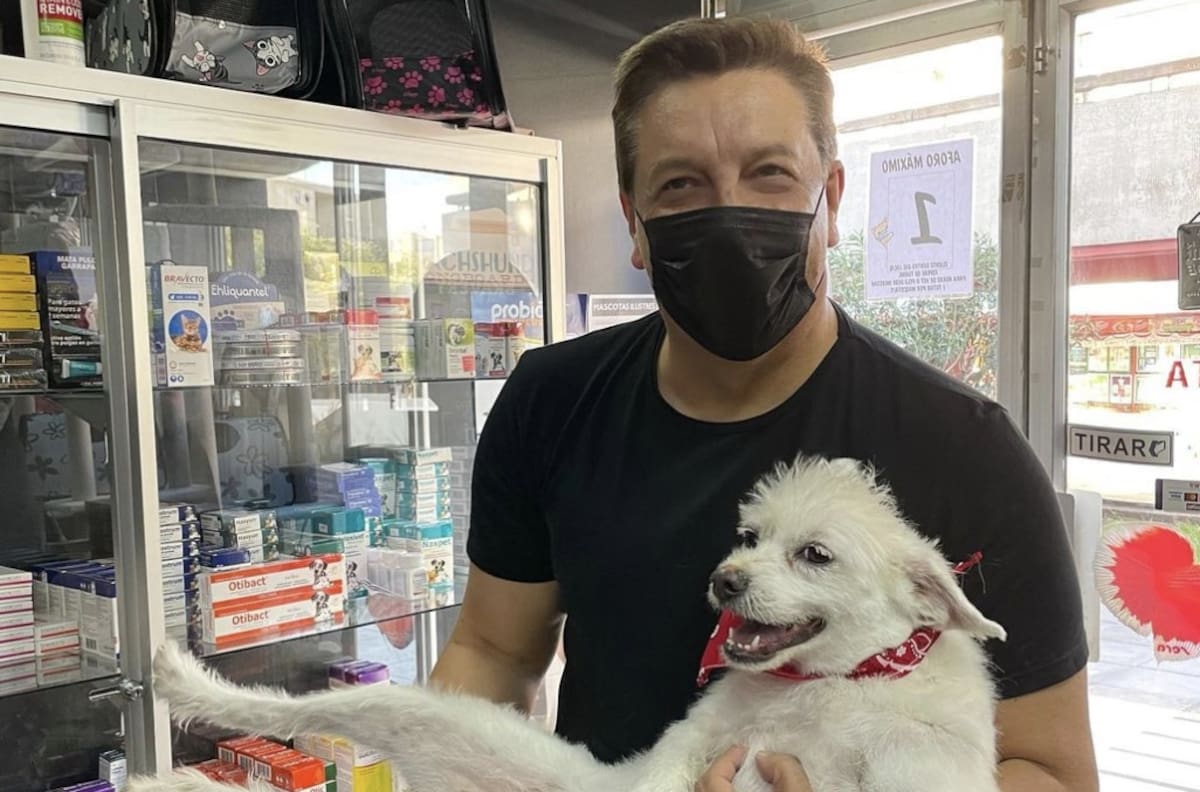 "¿Por qué eres tan buena?": Julio César Rodríguez compartió tierno video de su perrita, Blanca, cometiendo un acto muy bondadoso