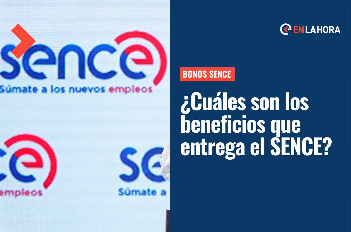 Bonos Sence: ¿En qué consisten estos beneficios y cómo acceder a ellos?