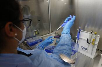 Informe Epidemiológico: Revisa las 18 comunas de Chile sin casos activos de Covid 19