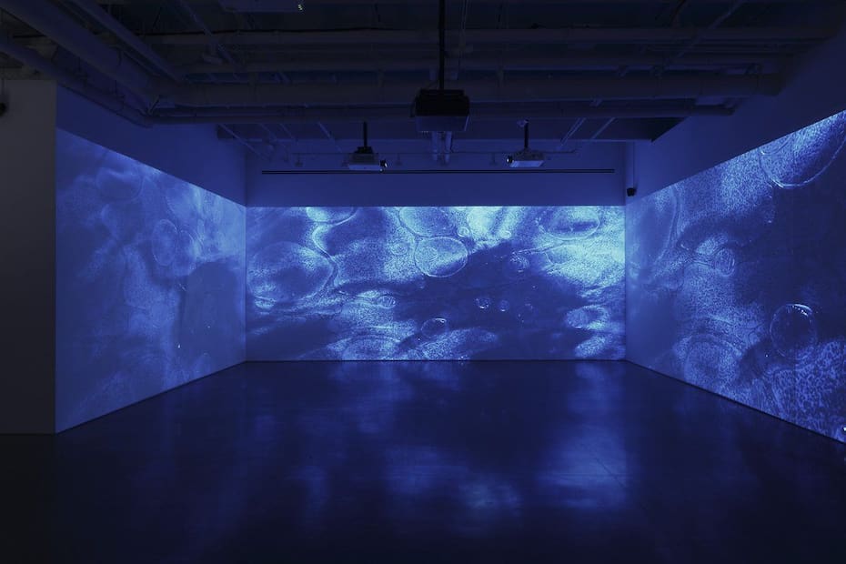 Correspondences: Soundwalk Collective & Patti Smith.
Créditos: GAM.