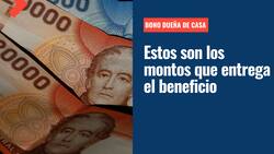 Bono Dueña de Casa: Conoce los montos que entrega este beneficio y sus modalidades de pago