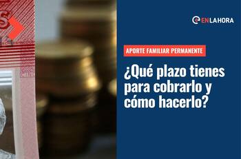 Aporte Familiar Permanente: ¿Cuál es el plazo para cobrar el ex Bono Marzo y cómo hacerlo?