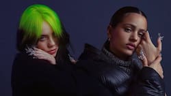 Billie Eilish y Rosalía estrenan canción juntas: "Lo Vas A Olvidar", que será parte de “Euphoria”