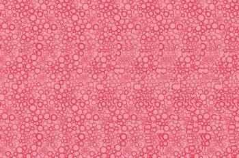 Test Visual: Desafía tu vista y encuentra a los animales ocultos en estas ilusiones ópticas 3D