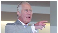 El rey Carlos III recibe rentas millonarias durante la crisis económica que pasa el Reino Unido