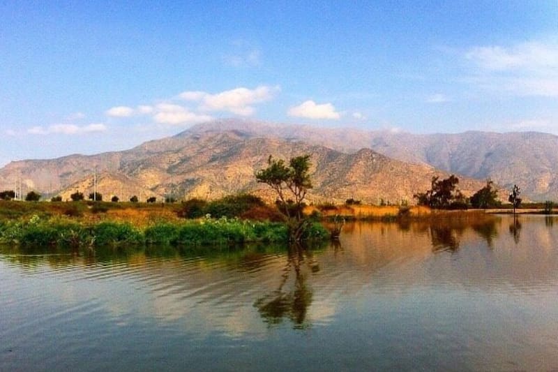 Esta es perfecta para capear el calor de los días primaverales.