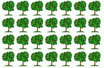 Acertijo Visual: ¿Puedes encontrar el árbol diferente en la imagen en menos de 10 segundos?