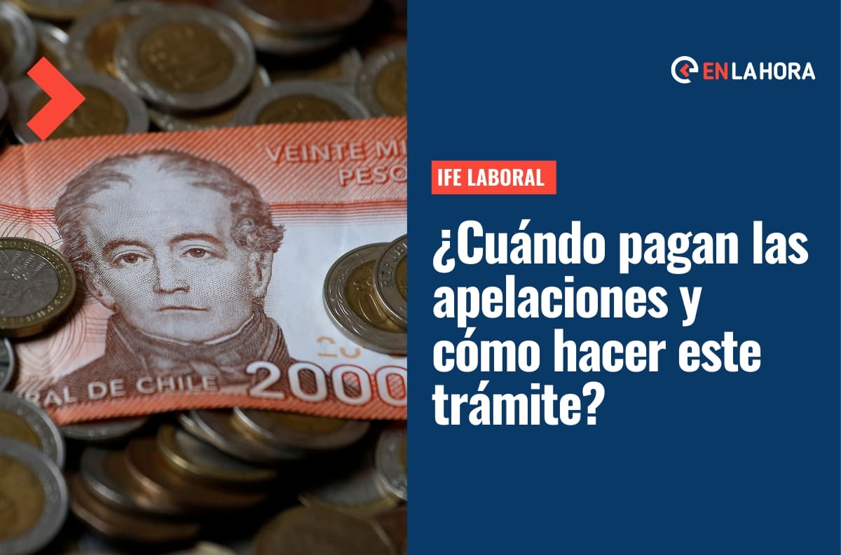 IFE Laboral: ¿Cuándo pagan las apelaciones y cómo realizar este trámite?