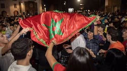 VIDEO | Sin asco: así festejaron en Marruecos su título de la Copa Africana por secretaría