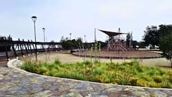 Tiene 35 hectáreas, canopy, un bike park y es gratis: el imperdible pulmón verde a minutos del centro de Santiago