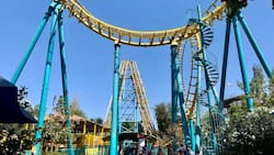 Últimos días del verano: estos 5 juegos de Fantasilandia son ideales para disfrutar antes que llegue marzo