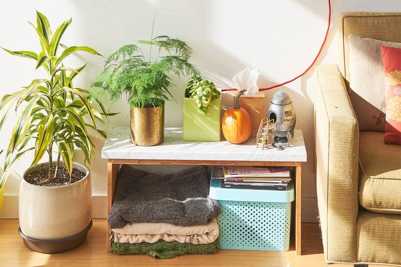 Con el frío las plantas entran en un periodo de reposo.