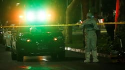 Parricidio en Lo Espejo: Adulto mayor mató a su hermano con un cuchillo tras discusión por drogas