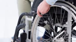 Pensión Básica Solidaria de Invalidez: Conoce el nuevo monto que se entregará desde febrero