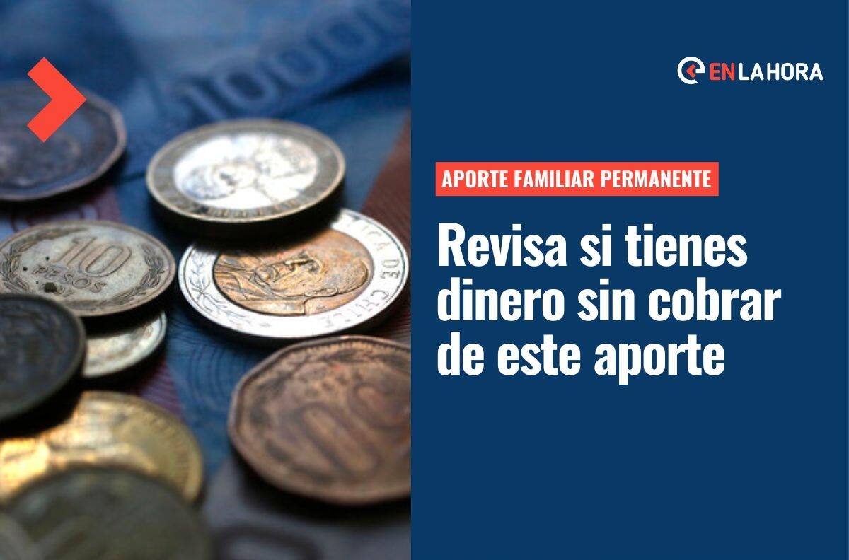 Aporte Familiar Permanente: Revisa solo con tu RUT si tienes dinero sin cobrar de este beneficio