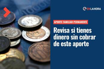 Aporte Familiar Permanente: Revisa solo con tu RUT si tienes dinero sin cobrar de este beneficio