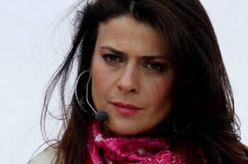 Bancos exigen la quiebra de Tonka Tomicic por deudas que ascienden a los más de $180 millones