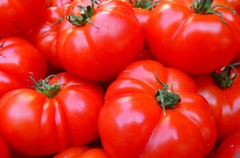 Providencia celebrará el Día del Tomate: ¿Dónde será el evento gratuito y cómo llegar?