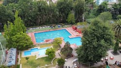 Caja de compensación ofrece días de piscina a precios rebajados para adultos mayores: Ubicación, precios y horarios