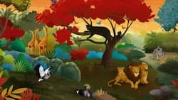 Test de Personalidad: Descubre qué es lo que te mantiene preocupado actualmente