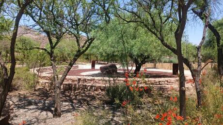 Este jardín botánico oculto a 40 minutos de Santiago es ideal para quienes buscan privacidad y aman el deporte