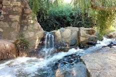 Tiene pozas naturales y un bosque milenario: este parque gratuito es el pulmón verde más grande de Viña del Mar