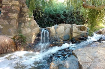 Tiene pozas naturales y un bosque milenario: este parque gratuito es el pulmón verde más grande de Viña del Mar