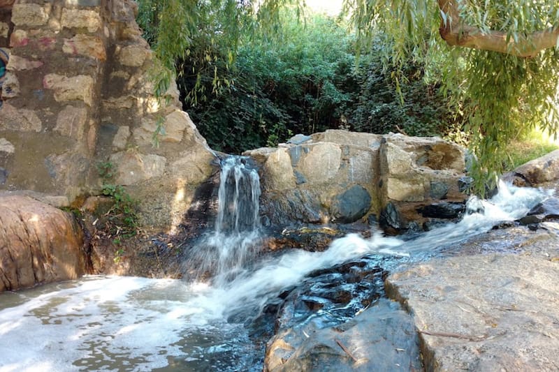 En este habitan diferentes tipos de aves y plantas, como la palma chilena y belloto del norte. Foto: Polomap.