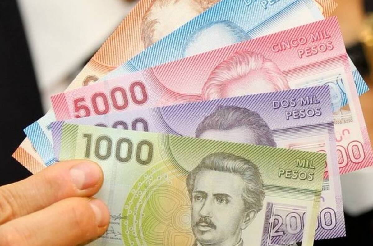 Todos los bonos y beneficios de contingencia que puedes cobrar con tu Rut
