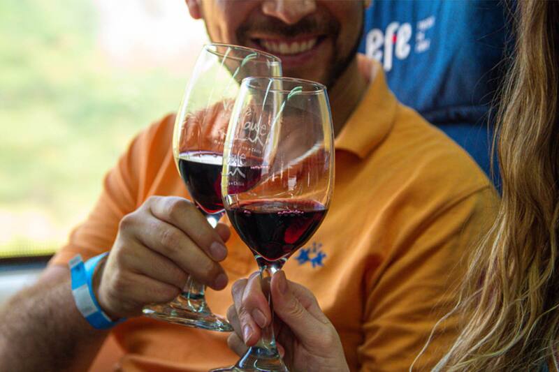 Los precios parten desde dos tarifas. Créditos: EFE Trenes de Chile.