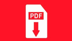 Elimina las contraseñas de los archivos PDF a través de un sencillo tutorial