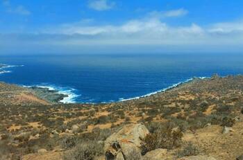 Green Port: qué es y cómo funcionaría el mega puerto verde que reemplazaría a Dominga