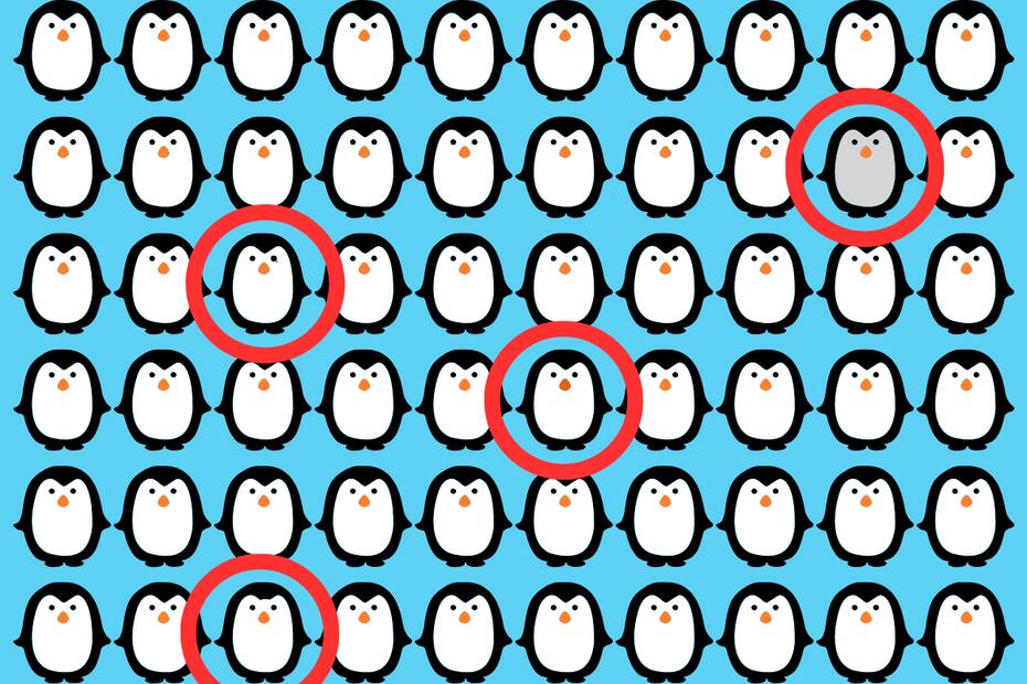 Acá se encontraban los cuatro pingüinos diferentes del test visual.
