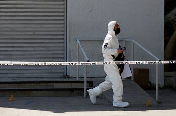 La Cisterna: Encuentran crematorio clandestino con 70 cuerpos de perros y gatos