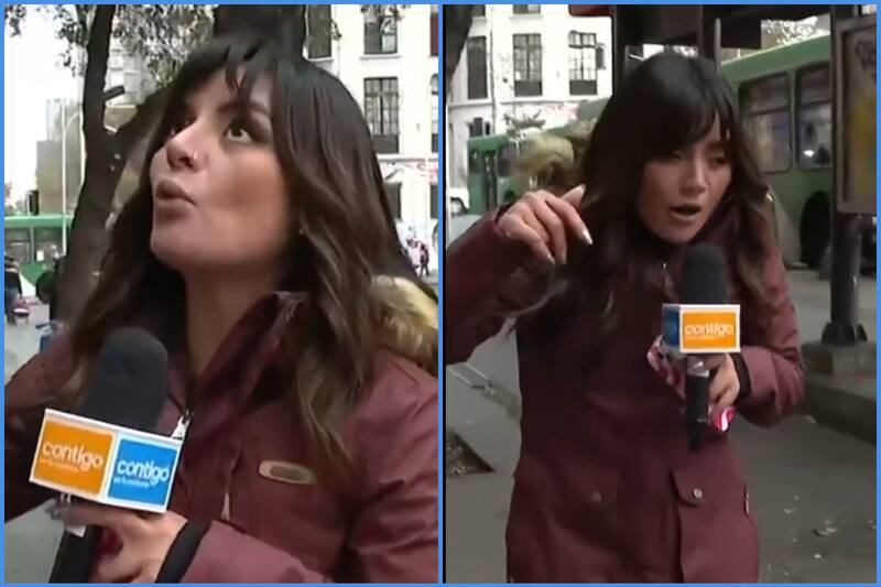 Periodista fue agredida en vivo en el matinal de CHV