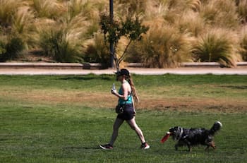 Las altas temperaturas no terminan: Emiten nueva alerta para 5 regiones del país