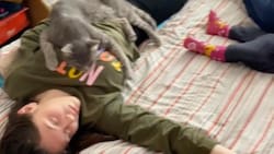 VIDEO | ¡Hasta el gato!: Padre vuelve virales a sus hermanas por quedarse dormidas con su sobrina cuando debían cuidarla