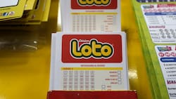 Resultados del Loto sorteo 5381: ¡Hay un gran ganador de más de $292 millones!