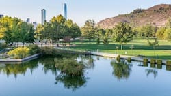 Ofrece dos lagunas, canil de adiestramiento y entrada a $0: el pulmón verde ideal para pasar los últimos días del verano en Santiago