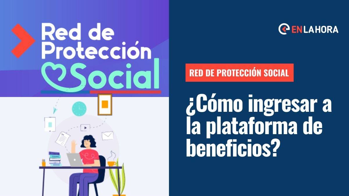 Red de Protección Social: Conoce cómo ingresar a la plataforma que te muestra bonos y beneficios que puedes postular según tu RUT
