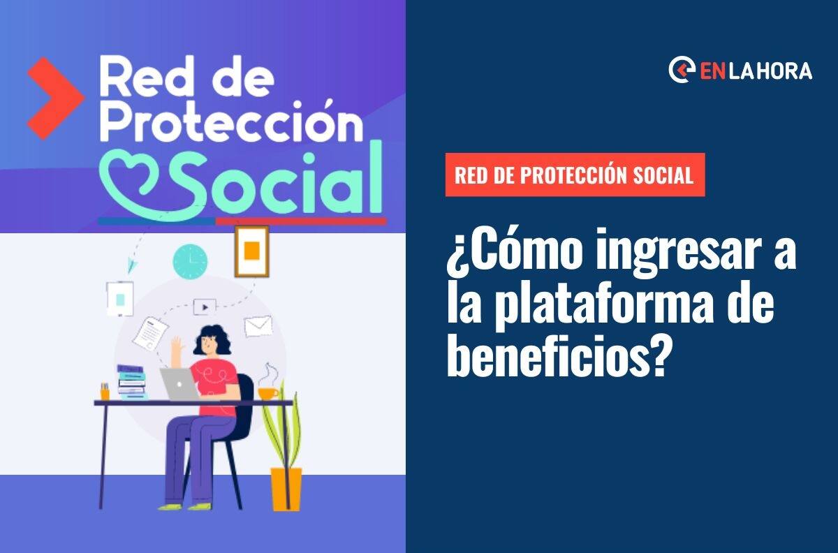 Red de Protección Social: Conoce cómo ingresar a la plataforma que te muestra bonos y beneficios que puedes postular según tu RUT