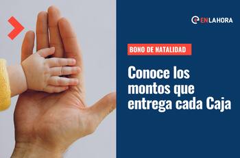Bono de Natalidad: Conoce en qué consiste y qué montos entrega cada Caja de Compensación