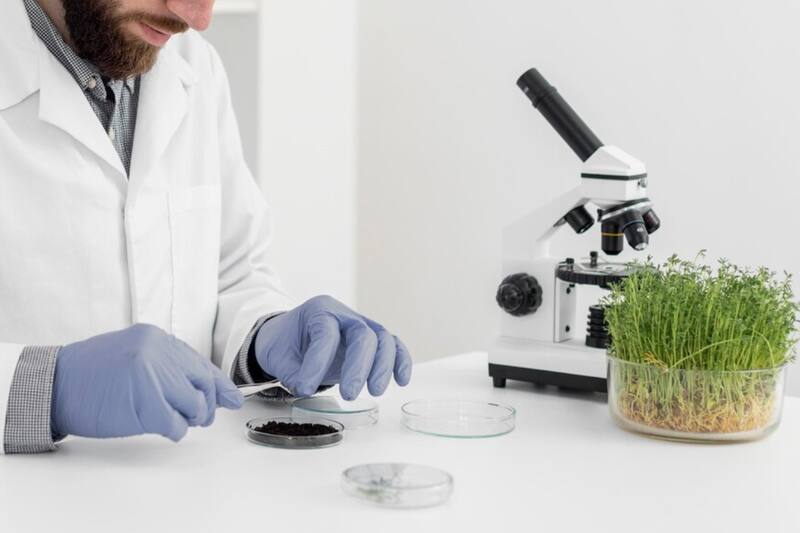 Científicos chilenos abren una ventana de oportunidades para el estudio del espacio.