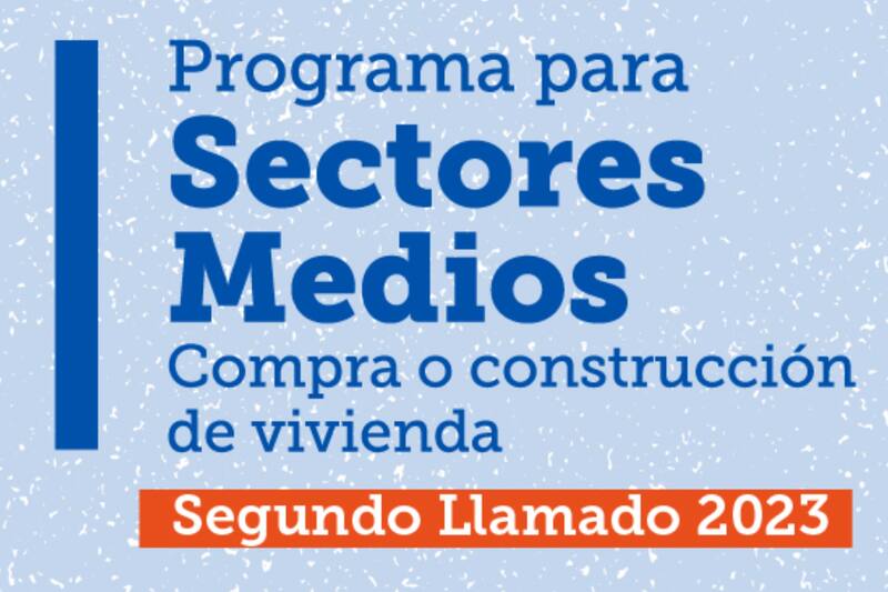 Conoce los requisitos que debes cumplir para recibir el Subsidio DS1.