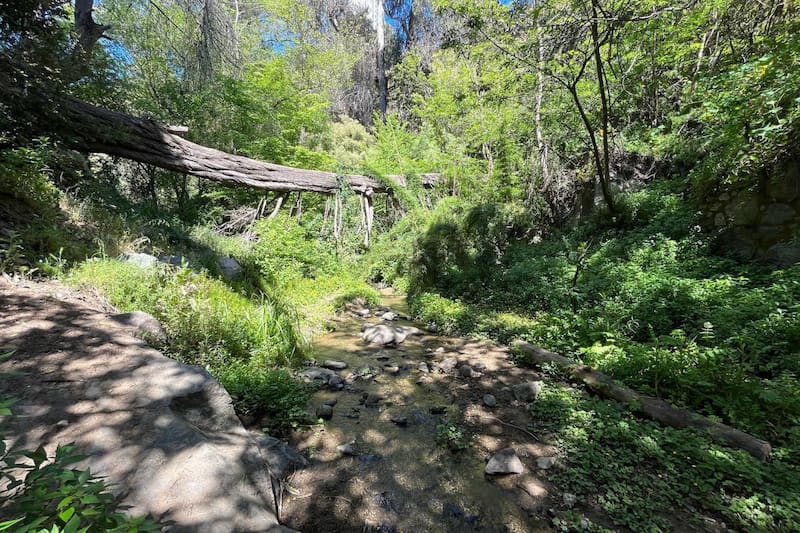 Este recinto natural está ubicado a un costado de la Avenida Santos Ossa. Foto: Municipalidad de Valparaíso vía Facebook.