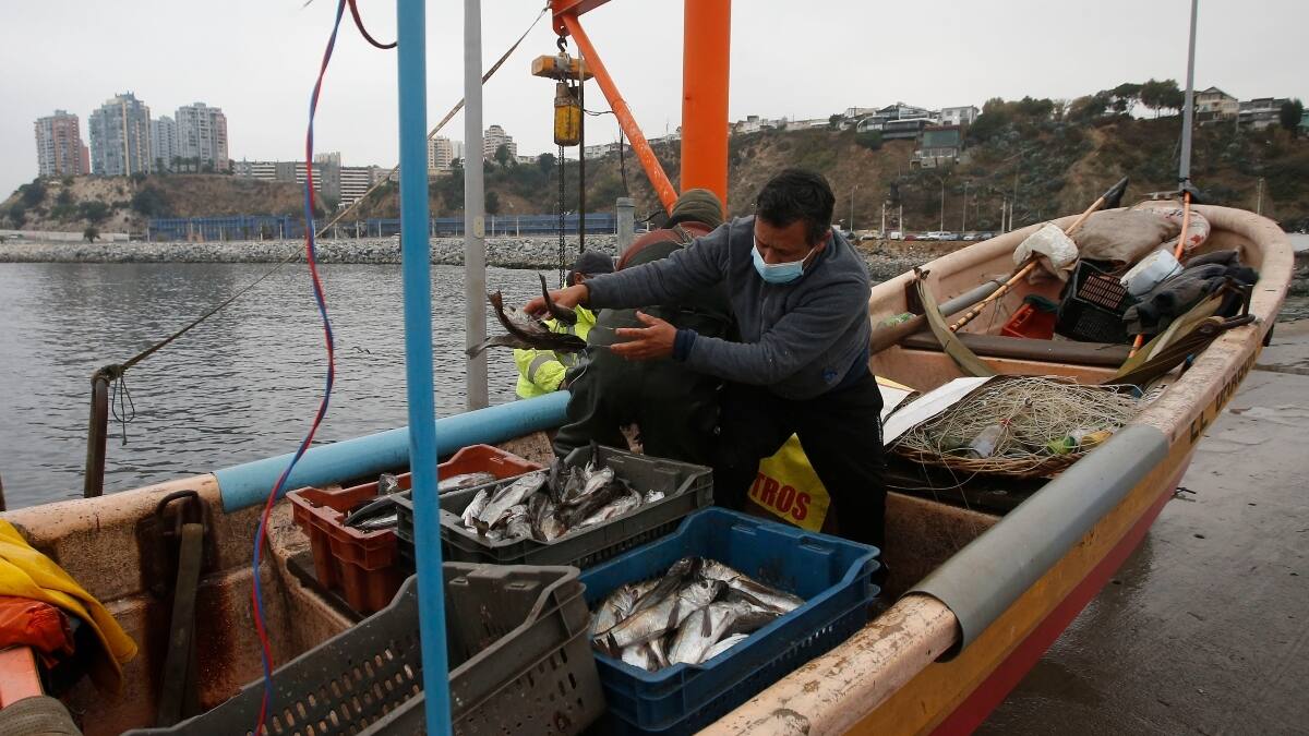 Bono Alivio Pymes: piden ampliar el beneficio que expira este lunes 2 de agosto y sumar otros rubros