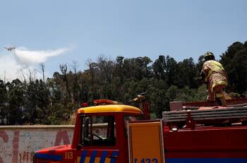 Incendios Forestales: Estos los cinco sectores que la Onemi pidió evacuar en Quilpué