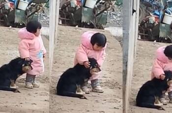 VIDEO | Niña protege a un perrito asustado por los fuegos artificiales