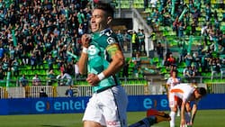 Rodolfo Moya y la posible llegada de Óscar Opazo a Everton: “Se ve hermoso con la Oro y Cielo”