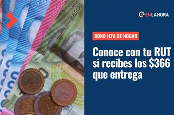 Bono Jefa de Hogar: Conoce si puedes recibir los $366 mil de este beneficio solo con tu RUT